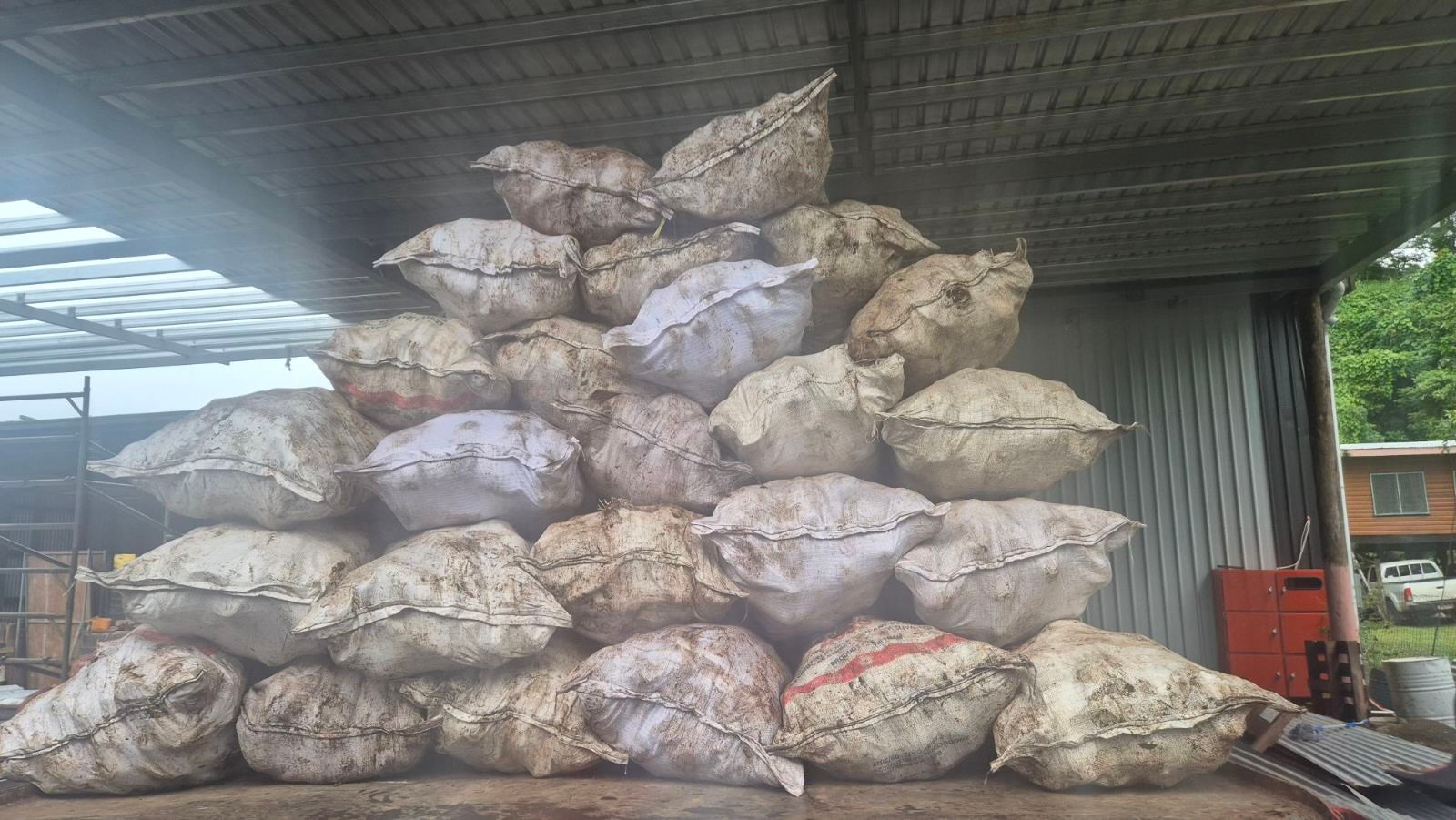 Sorting Area